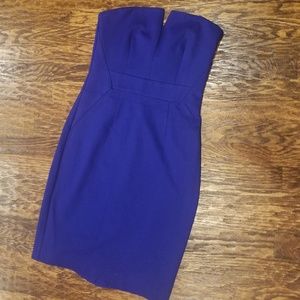 Trina Turk Blue Strapless Sheath Dress
